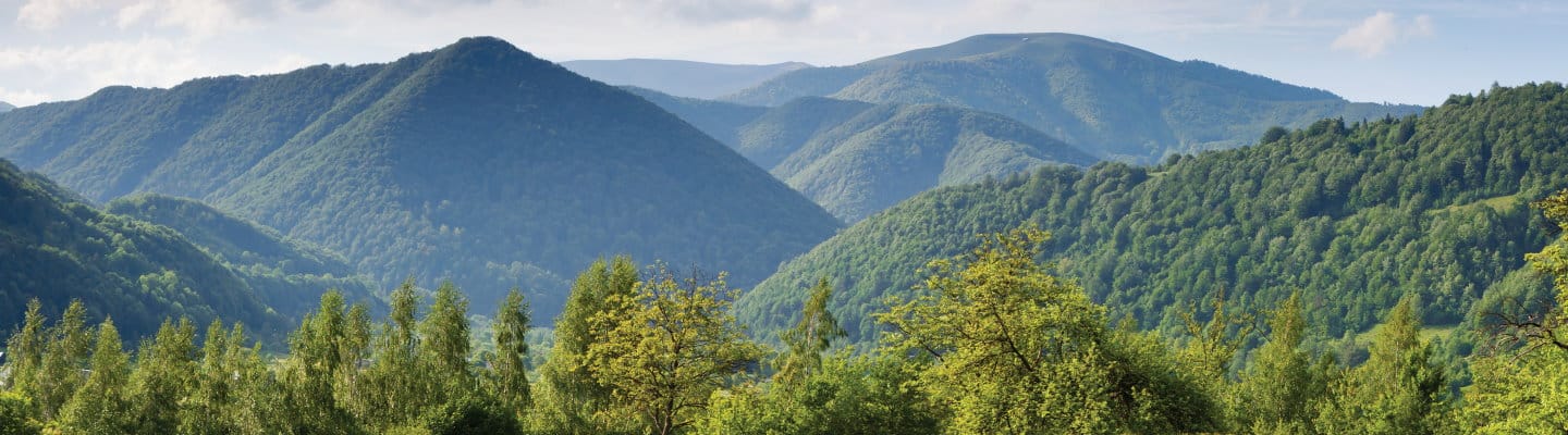 12 Ways You Can Protect the Environment