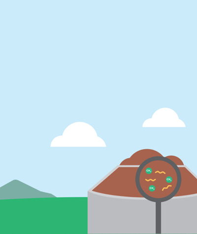 What Is Biomass Energy?
