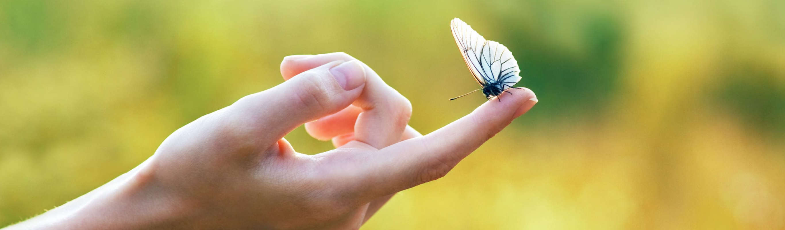 Carbon Conscious Natural Gas Plan
