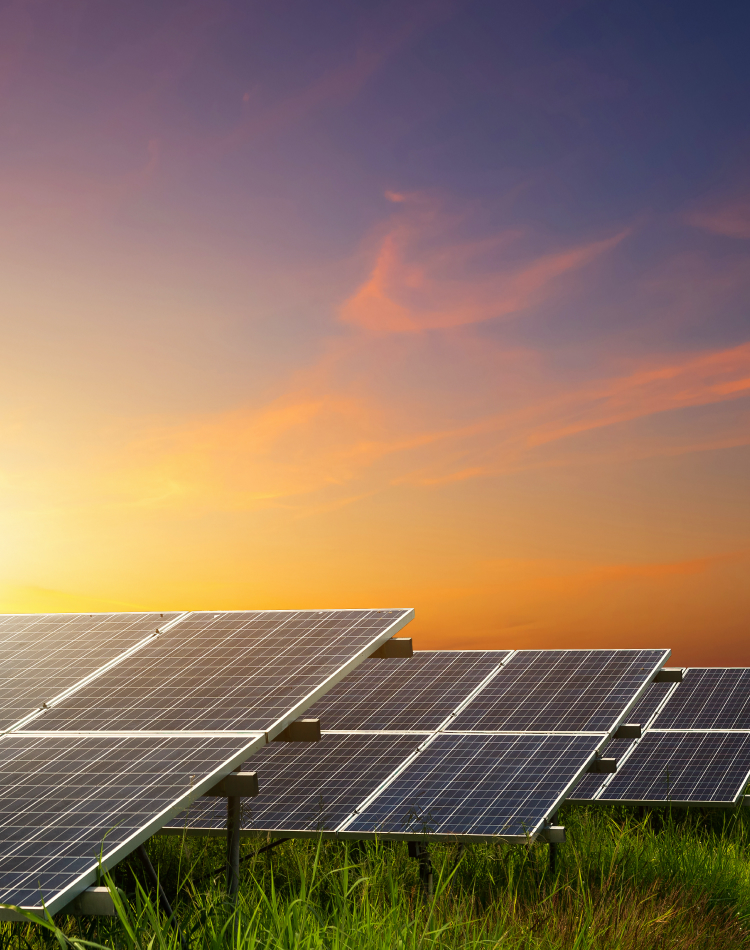 Renewable Rewards® Perfect Match Solar Panel Plan
