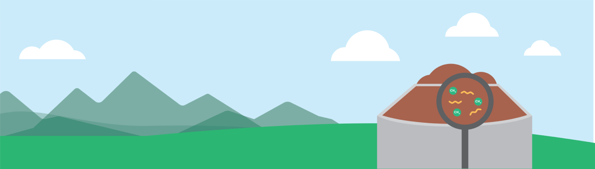 What Is Biomass Energy?
