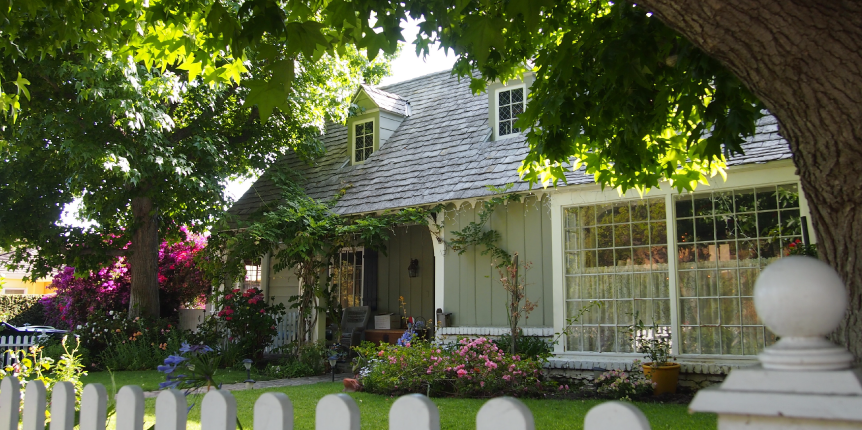 Planting trees for energy efficiency