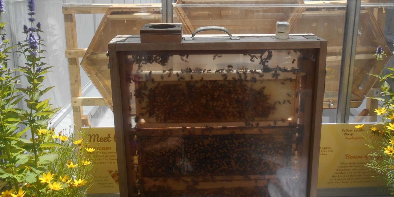 Park District of Oak Park