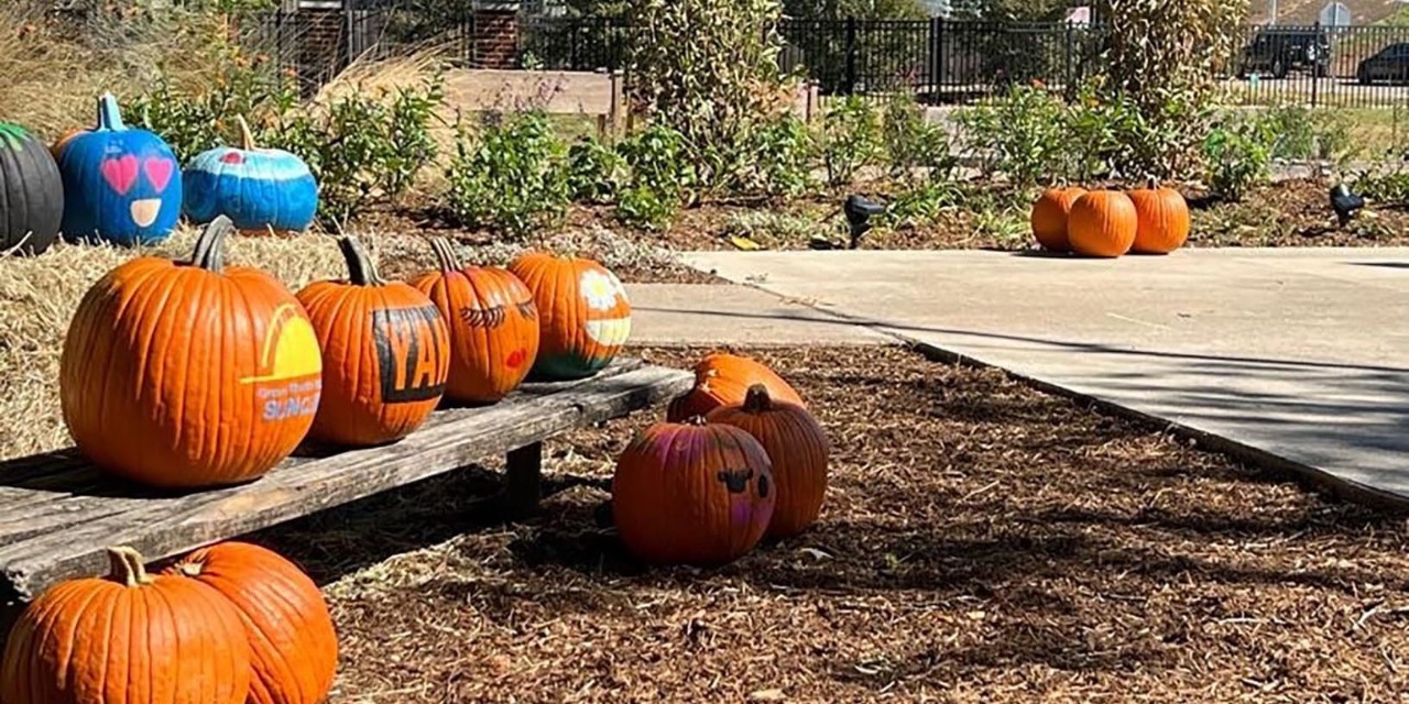 young-audiences-of-houston