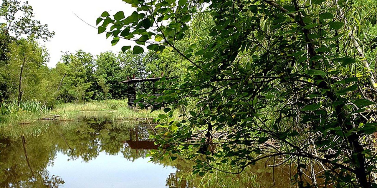 Sheldon Lake & Environmental Learning Center