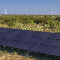 A green field with solar panels in the foreground and wind turbines in the background.